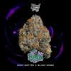 Wizard Trees , tree wizard , wizard trees jars , wizard trees jar , wizzard trees , wizardtrees , wizard trees jars , jg trees , wizard tree seeds , rs11 wizard trees , rs11 wizard trees , wizard trees samen , wizard trees black magic , wizard trees deutschland