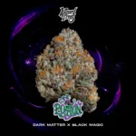 Wizard Trees , tree wizard , wizard trees jars , wizard trees jar , wizzard trees , wizardtrees , wizard trees jars , jg trees , wizard tree seeds , rs11 wizard trees , rs11 wizard trees , wizard trees samen , wizard trees black magic , wizard trees deutschland