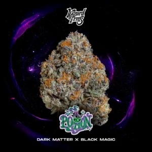 Wizard Trees , tree wizard , wizard trees jars , wizard trees jar , wizzard trees , wizardtrees , wizard trees jars , jg trees , wizard tree seeds , rs11 wizard trees , rs11 wizard trees , wizard trees samen , wizard trees black magic , wizard trees deutschland