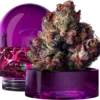 Wizard Trees , tree wizard , wizard trees jars , wizard trees jar , wizzard trees , wizardtrees , wizard trees jars , jg trees , wizard tree seeds , rs11 wizard trees , rs11 wizard trees , wizard trees samen , wizard trees black magic , wizard trees deutschland