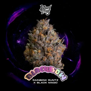 Wizard Trees , tree wizard , wizard trees jars , wizard trees jar , wizzard trees , wizardtrees , wizard trees jars , jg trees , wizard tree seeds , rs11 wizard trees , rs11 wizard trees , wizard trees samen , wizard trees black magic , wizard trees deutschland