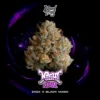 Wizard Trees , tree wizard , wizard trees jars , wizard trees jar , wizzard trees , wizardtrees , wizard trees jars , jg trees , wizard tree seeds , rs11 wizard trees , rs11 wizard trees , wizard trees samen , wizard trees black magic , wizard trees deutschland
