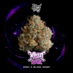 Wizard Trees , tree wizard , wizard trees jars , wizard trees jar , wizzard trees , wizardtrees , wizard trees jars , jg trees , wizard tree seeds , rs11 wizard trees , rs11 wizard trees , wizard trees samen , wizard trees black magic , wizard trees deutschland