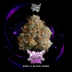 Wizard Trees , tree wizard , wizard trees jars , wizard trees jar , wizzard trees , wizardtrees , wizard trees jars , jg trees , wizard tree seeds , rs11 wizard trees , rs11 wizard trees , wizard trees samen , wizard trees black magic , wizard trees deutschland