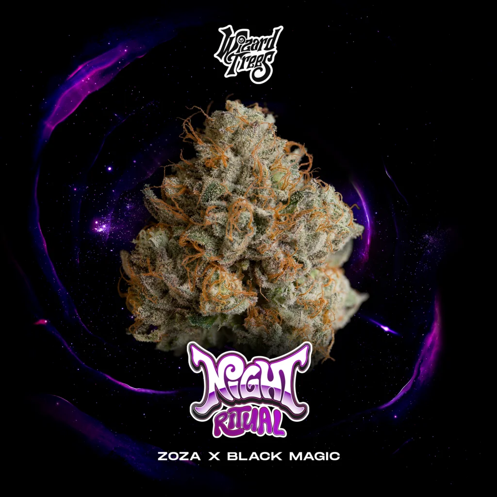 Wizard Trees , tree wizard , wizard trees jars , wizard trees jar , wizzard trees , wizardtrees , wizard trees jars , jg trees , wizard tree seeds , rs11 wizard trees , rs11 wizard trees , wizard trees samen , wizard trees black magic , wizard trees deutschland