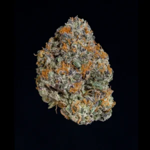 Wizard Trees , tree wizard , wizard trees jars , wizard trees jar , wizzard trees , wizardtrees , wizard trees jars , jg trees , wizard tree seeds , rs11 wizard trees , rs11 wizard trees , wizard trees samen , wizard trees black magic , wizard trees deutschland
